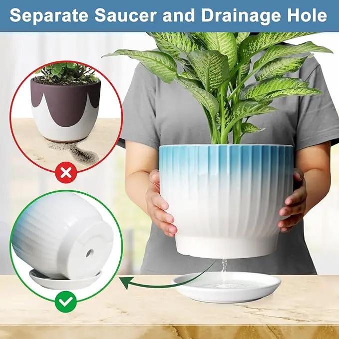 8 Inch Plant Pot, Ceramic Planter with Drainage and Saucer, Ceramic Pots for Plants, Indoor Plant pots,Ceramic Flower pots(Blue + White, Plants NOT Included) by GreenHaven Gardens