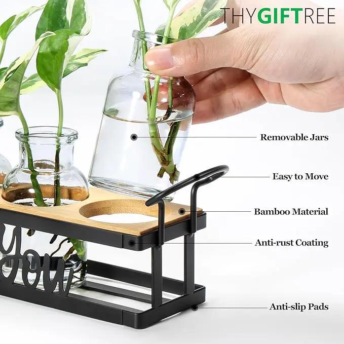 THYGIFTREE Plant Propagation Stations, Mothers Day Plant Lover Gifts for Mom Women Rooting for You Propagate Jars for Hydroponic Cuttings Propagating Vase by GreenHaven Gardens
