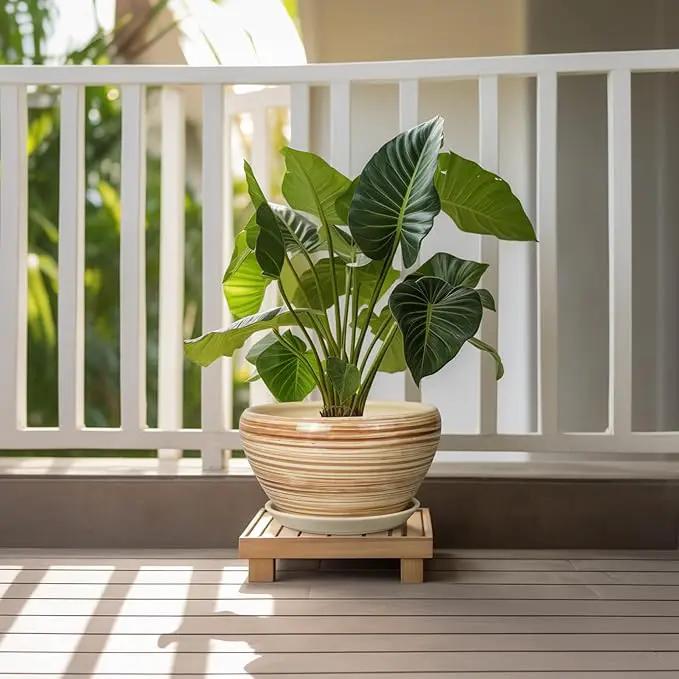 Ceramic Pot for Plants 11 Inch - Planter for Outdoor Plants Indoor Plant Pot with Drainage Hole and Saucer Large Planter Round Flower Pot for House Patio Garden Yellow by GreenHaven Gardens
