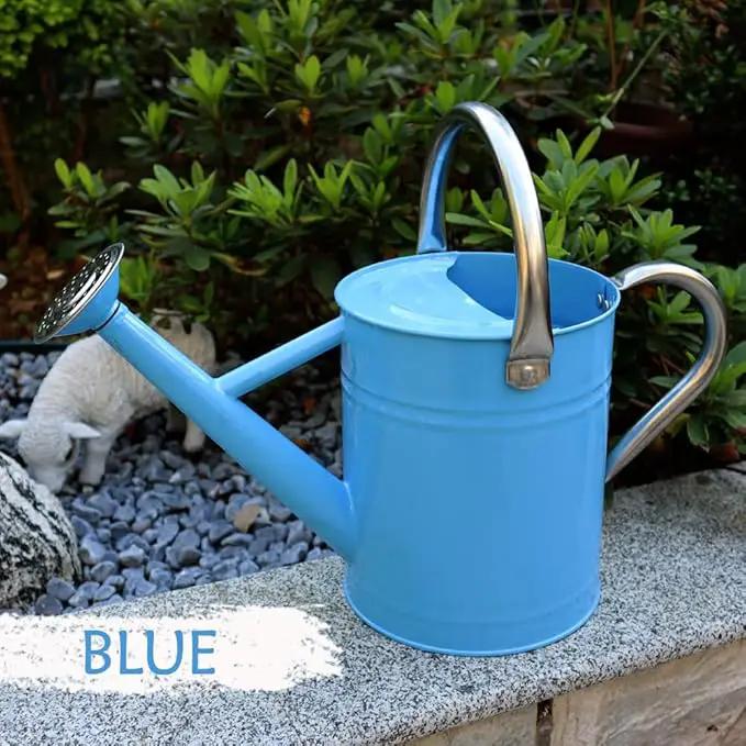 Metal Watering Can, One Gallon Watering Cans Stainless Steel for Outdoor Indoor Garden Plants Watering (Stainless Steel Handle Blue) by GreenHaven Gardens