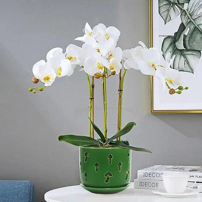 KERUITA Orchid Pots with Holes, 6 inch + 5 inch Orchid Planters with Dancing Mushroom Shaped Holes, Enhanced Drainage and Ventilation,Green Flower Pots for Indoor/Outdoor Plants for Repotting by GreenHaven Gardens