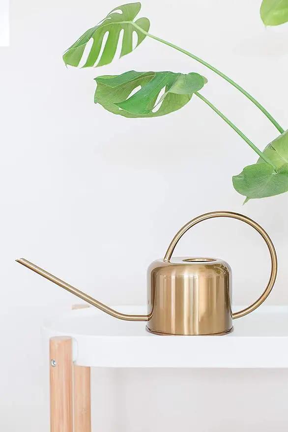 Stainless Steel Watering Can for Houseplants by Houseplant Resource Center | 1L Capacity for Indoor/Outdoor Plants in Brushed Gold by GreenHaven Gardens