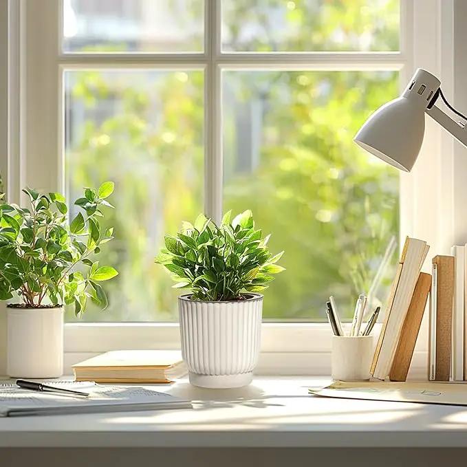 T4U 4.5 Inch Self Watering Pots for Indoor Plants, 6 Pack White Plastic Flower Pots for All House Plants, Flowers, African Violets by GreenHaven Gardens