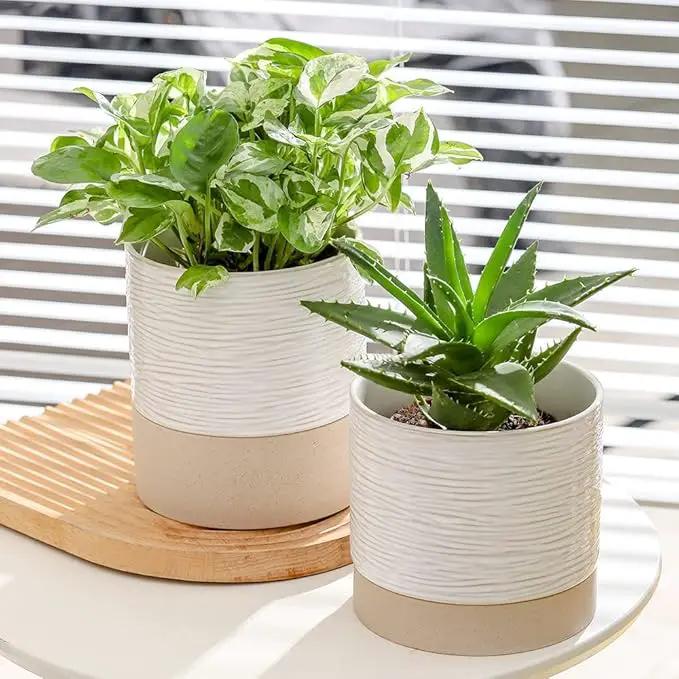 Nihow Ceramic Plant Pot: 6 Inch Planter with Drainage Hole & Saucer for Indoor & Outdoor Plants - Cylinder Round Flower Pot for Succulent/Herbs/Violets - Cream White & Brown by GreenHaven Gardens