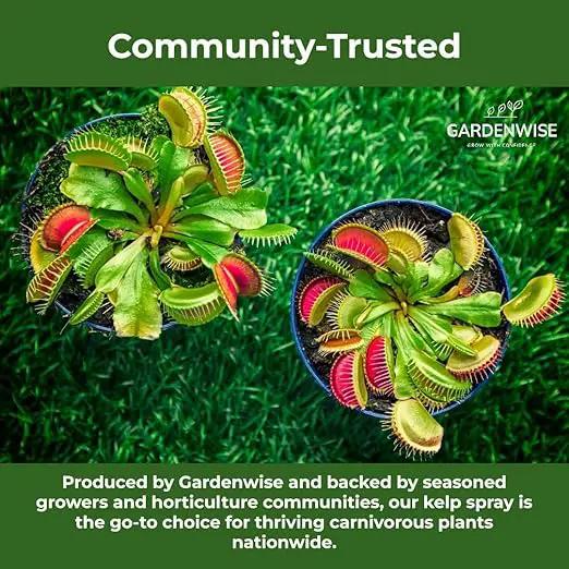 100% Organic Marina Mist Carnivorous Plant Food | Liquid Kelp Foliar Spray for Plants - Kelp Fertilizer for Venus Flytraps, Sundew, Butterworts, Pitcher Plants 16 Oz by GreenHaven Gardens