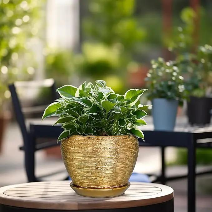 Indoor Plant Pot 6 Inch - Ceramic Pot for Plants Outdoor Planter with Drainage Hole and Saucer Round Decorative Planter Modern Flower Pot for Home Decor Gold by GreenHaven Gardens