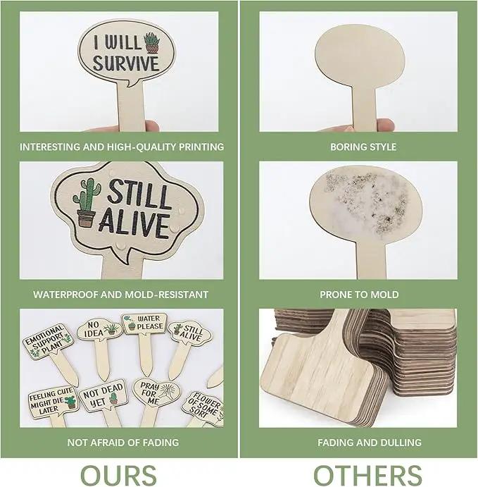 15pcs Funny Plant Signs Garden Markers Wooden Plant Labels Tab with Interesting Words Cute Patterns for Indoor and Outdoor Potted Used to Distinguish Potted Plants by GreenHaven Gardens