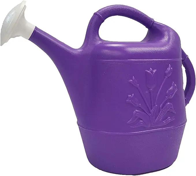PMU 2 Gallon Watering Can - Garden Watering Can for Indoor & Outdoor Plants - Plastic Water Can with Detachable Sprinkler Head - Large Water Pot, Made in USA - Purple Pkg/6 by GreenHaven Gardens