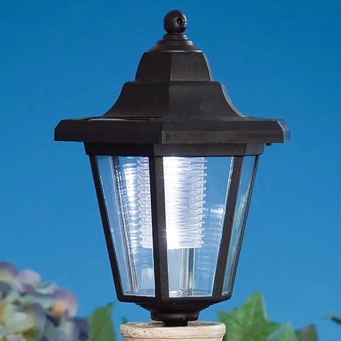 Bits and Pieces - Solar Dog Lantern-Solar Powered Garden Lantern - Resin Dog Sculpture with LED Light (Dachshund) by GreenHaven Gardens