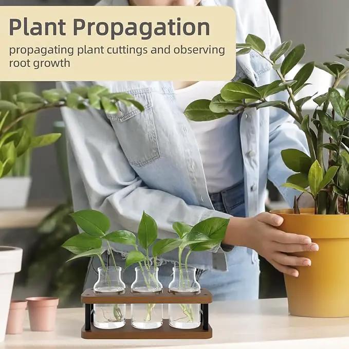 THYGIFTREE Plant Propagation Station with Wooden Stand, Propagation Vases Glass Planters for Indoor Plants Hydroponic Propagating Jars Home Office Decor, Brown by GreenHaven Gardens