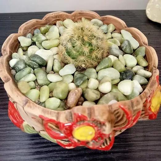 5LB Succulent Jade Pebbles, 3/8 Inch Natural Decorative Polished Stones, River Rocks for Vase, Flowerpot, Indoor and Garden Decoration by GreenHaven Gardens