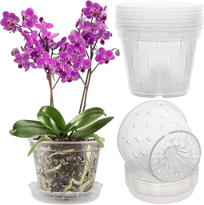 REMIAWY Orchid Pot, 8 Pack Orchid Pots with Holes and Saucers, 5.5 Inch Clear Plastic Flower Planters for Repotting Indoor Outdoor, Breathable Slotted Nursery Planter by GreenHaven Gardens