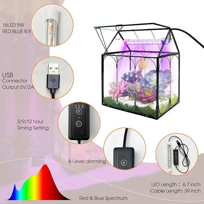 Plant Terrarium with Grow Light, Rifny Indoor House Shape Glass Terrarium Kit with Lid, Small Terrarium Jar Planter for Venus Fly Trap Succulent Live Air Plants Decor for Home Office (Without Plants) by GreenHaven Gardens