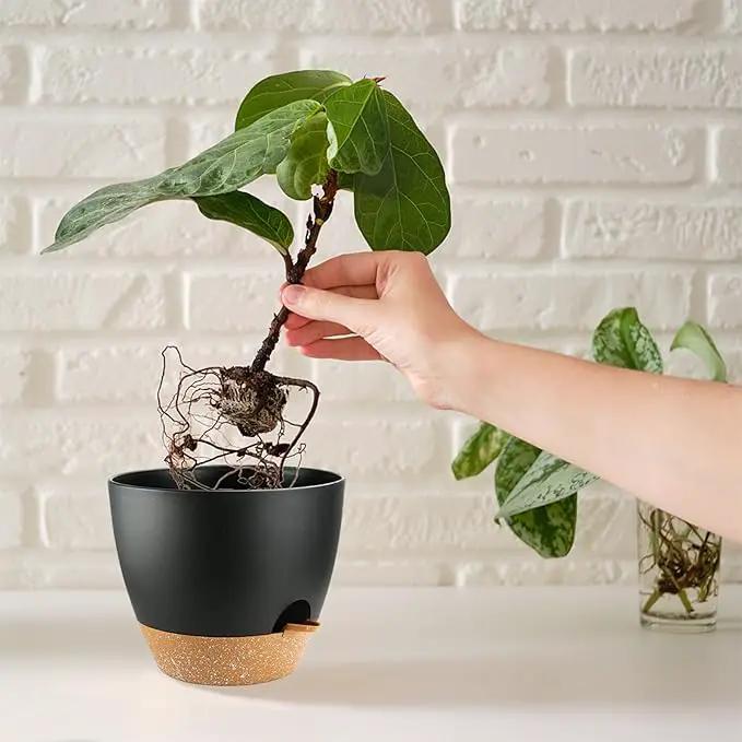 Self Watering Plants Pot with Drainage Hole, Flower Plants Pots for Indoor & Outdoor, Black Plastic Self Watering Planters Succulent Pot 5pcs/Set by GreenHaven Gardens