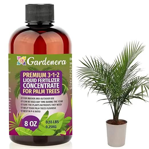 Premium Liquid Palm Tree Plant Fertilizer - 3-1-2 Concentrate for Indoor Plants and Flowers by Gardenera | Organic Plant Food for Palm Trees - 8oz by GreenHaven Gardens