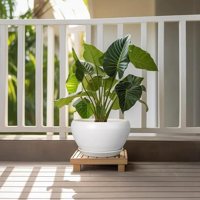 Ceramic Planter for Indoor Plants - 11 Inch Plant Pot with Drainage Hole and Saucer Decorative Round Large Planter Pot for Plants Outdoor Flower Pot for Garden White by GreenHaven Gardens