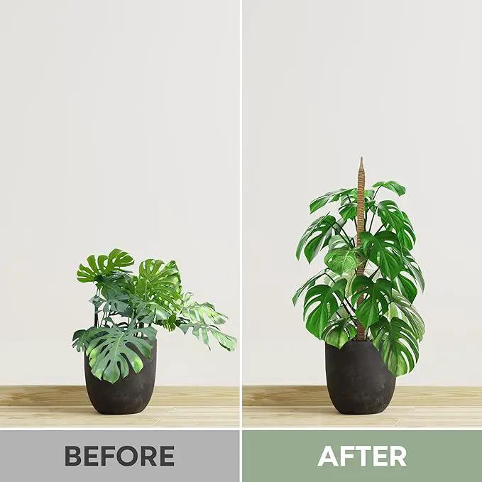 2 Pack 28'' Bendable Moss Pole Monstera Plant Support for Climbing Indoor Plants - Stakes for Potted Climbers - Tall Sticks Indoor Trellis for Houseplants - Accessories for Monstera Pot by GreenHaven Gardens