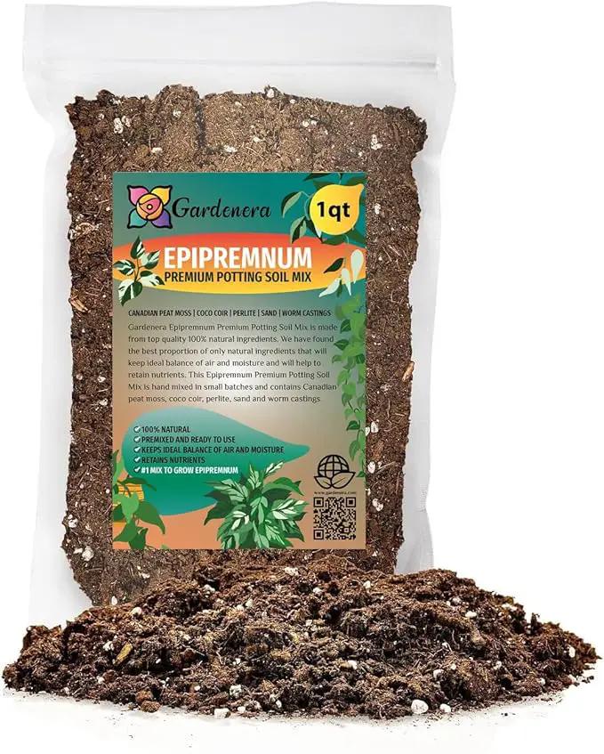 Premium Epipremnum Plant Potting Mix - Crafted for Lush Growth and Vibrant Foliage - 1 Quart by GreenHaven Gardens
