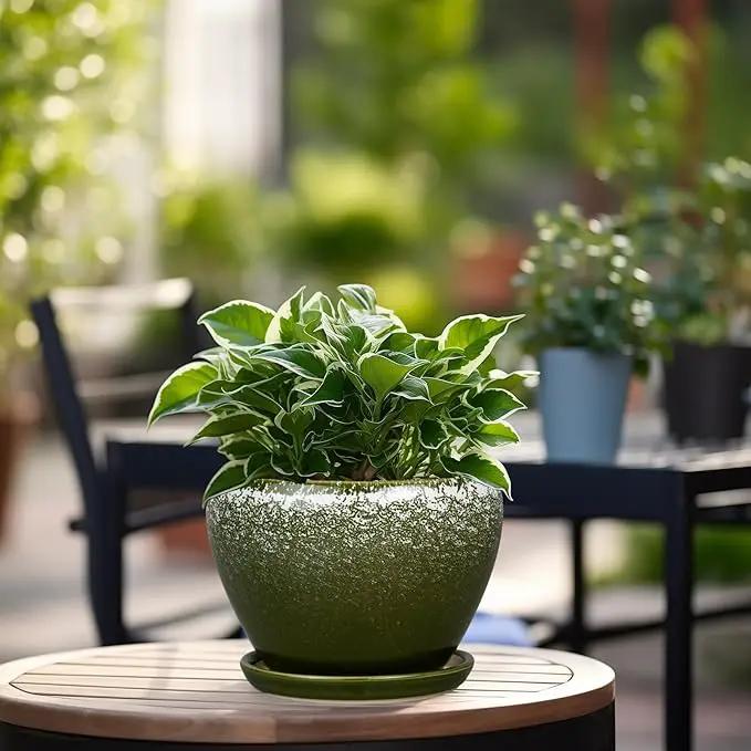 6 Inch Plant Pot - Ceramic Planter Pot with Drainage Hole and Saucer, Glaze Succulent Pot Modern Round Flower Pot for Indoor Plants, Dark Green by GreenHaven Gardens