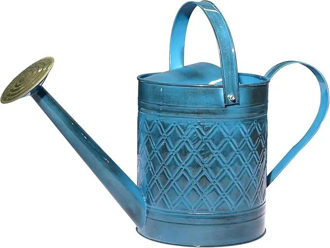 Robert Allen Home & Garden MPT01503 Robert Allen MPT011503 Wexley Metal, 2 Gallon, Mountain Waves 5 Gallon Watering can, 2 gal by GreenHaven Gardens