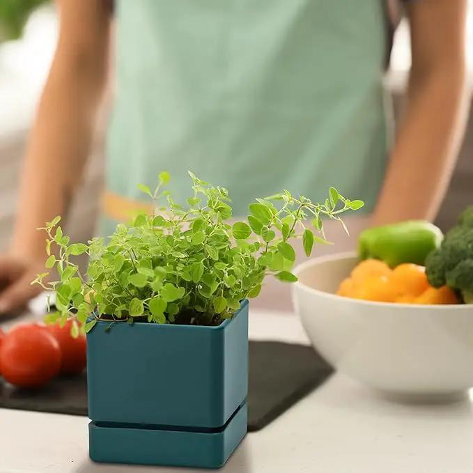 4 Inch Herb Planter Pot, Plastic Planter with Drainage Holes and Saucer, Modern Decorative Gardening Pot for Indoor Plants, Flowers, Herbs, Succulents, Green, Set of 1, 76-Y-C-1 by GreenHaven Gardens
