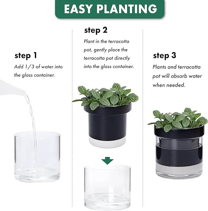 Phoenix Vine 4 Inch Self Watering Planter Pot, Black Terracotta Clay Pot with Glass Reservoir for Indoor Plants, Herbs, Flowers, Set of 4, 52-C-E-4 by GreenHaven Gardens