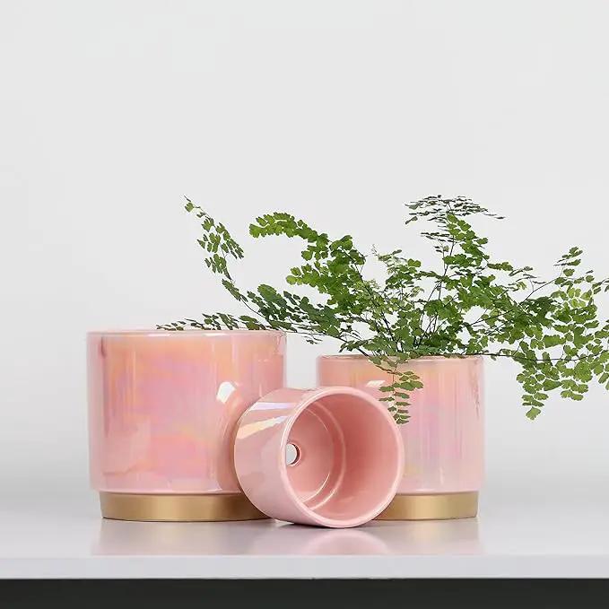 Gepege Pink Indoor Plant Pots for Plants, Ceramic Planter with Drainage Hole, 6.0 inch+5.0 Inch+4.0 Inch. Succulent Orchid Flower Pot - Rainbow Pearl Glaze by GreenHaven Gardens