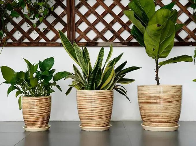8 Inch Plant Pot, Ceramic Planter with Drainage Hole and Saucer Large Flower Pot for Home Patio Garden Office, Yellow by GreenHaven Gardens