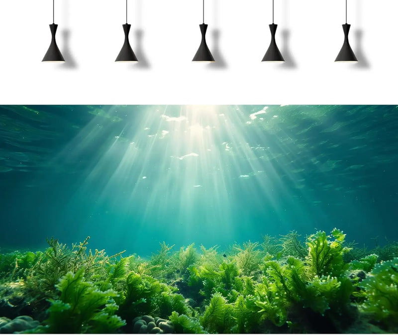 Deep Ocean Fish Tank Background Under The Sea Aquatic Plants Aquarium Background Underwater Corals Sunray Terrarium Backgrounds Tropical Fish Ocean World Aquarium Backgrounds Decorations 48x24in by GreenHaven Gardens