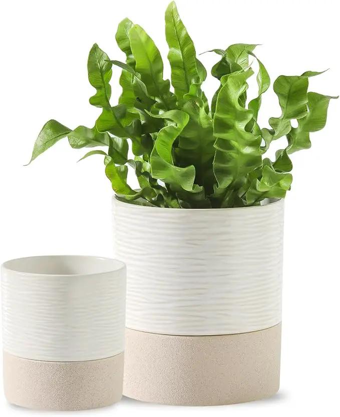 Nihow Self Watering Plant Pot for Indoor Plants: 4.5+6 Inch Ceramic Planter with Drainage Hole & Water Storage Plus - Cylinder Flower Pot with Wick for Herbs -White & Brown by GreenHaven Gardens