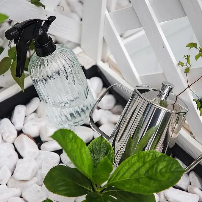 OFFIDIX Watering Can for Indoor Plants,Long Spout Metal Stainless Steel 21 oz/600 ml Watering Can with 14 oz/400ml Glass Plant Mister Spray Bottle for House Plant Bonsai by GreenHaven Gardens