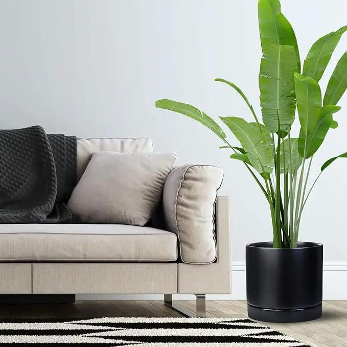 Aveyas 10 inch Ceramic Plant Pot with Drainage Hole and Saucer - Suitable for Indoor and Outdoor Use, Modern Planters for House Garden Flower Tree Snake Monstera Plants (10", Matte Black) by GreenHaven Gardens