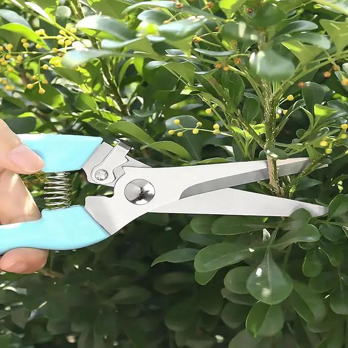 Premium Garden Shears, Pruning Scissors Gardening Tools, Pruners For Flower, Bushes, Rose And Fruit Tree, Use For Florist, Yard And Orchard the Plant Clippers, Sharp White Steel Anvil Snips by GreenHaven Gardens