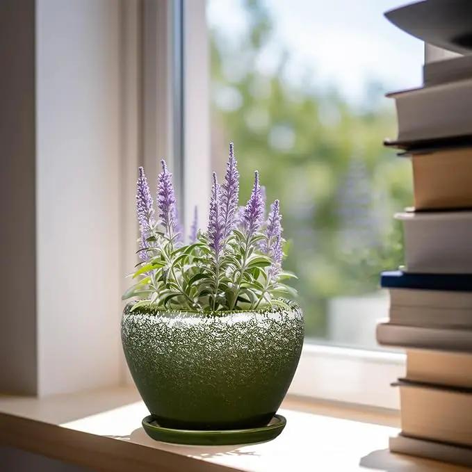 6 Inch Plant Pot - Ceramic Planter Pot with Drainage Hole and Saucer, Glaze Succulent Pot Modern Round Flower Pot for Indoor Plants, Dark Green by GreenHaven Gardens