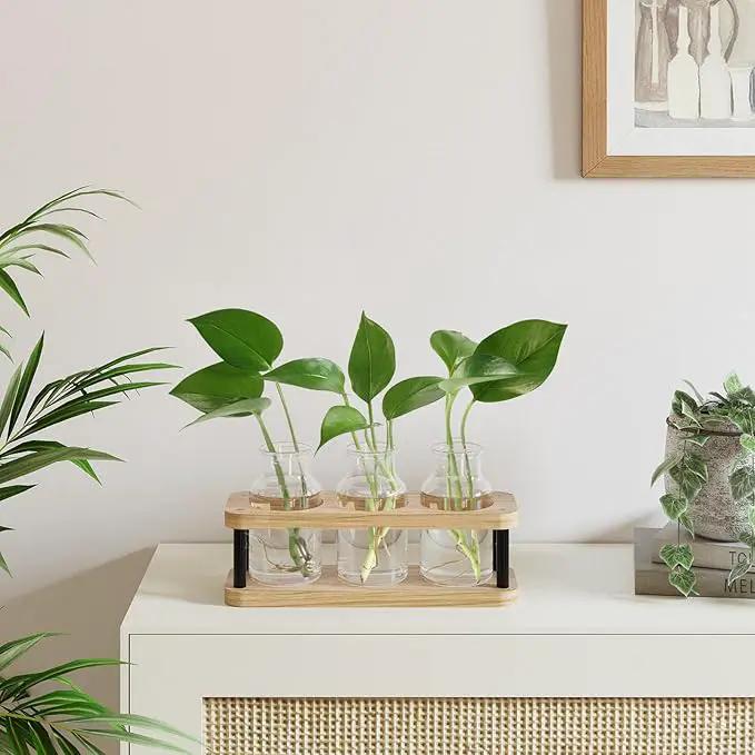 THYGIFTREE Plant Propagation Station with Wooden Stand, Propagation Vases Glass Planters for Indoor Plants Hydroponic Propagating Jars Home Office Decor, Plant Lover Gifts by GreenHaven Gardens
