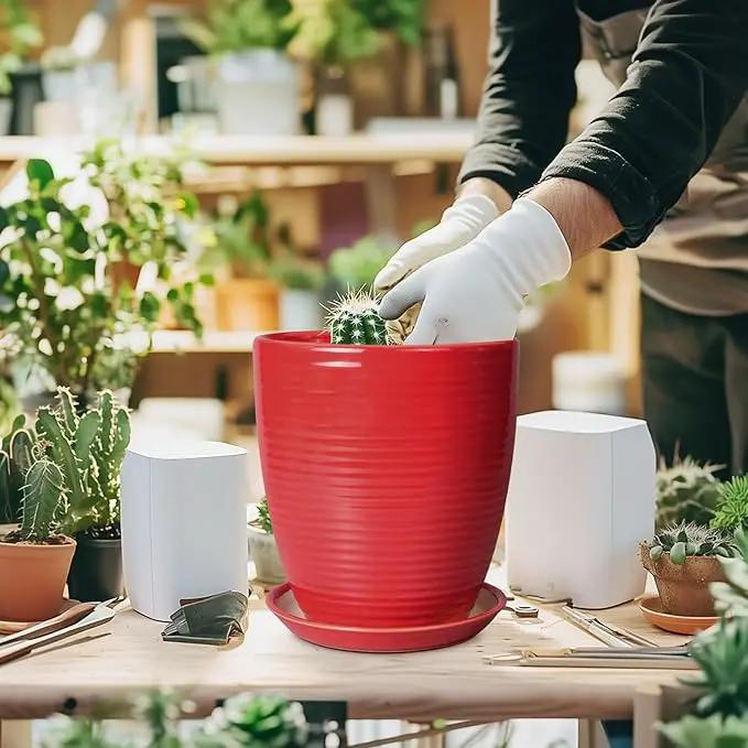 Ceramic Pot for Plants - 8 Inch Plant Pot for Indoor Plants Outdoor Round Planter Modern Flower Pot with Drainage Hole and Saucer Home Garden Office Porch Decor Red by GreenHaven Gardens