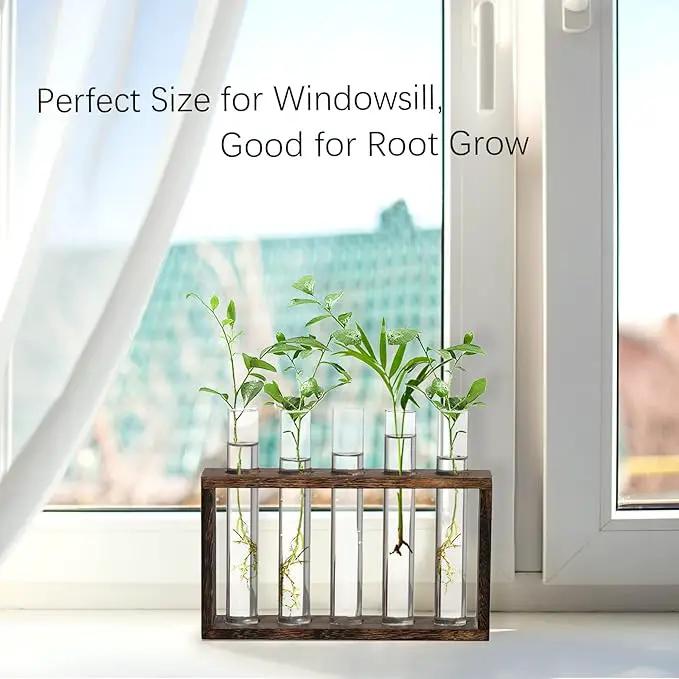 XXXFLOWER Wall Hanging Terrarium Planter with 5 Test Tubes,Wall Planters for Indoor Plants,Plant Lover Gifts for Women Garden Office Decoration by GreenHaven Gardens