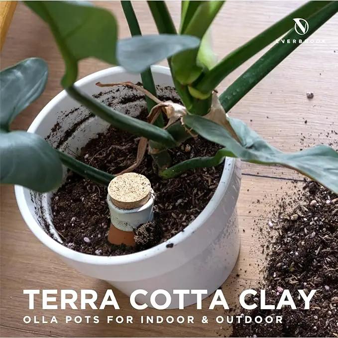 Plant Self Watering Globes - Terracotta Watering Spikes - Slow Release Olla Watering Pots - Drip Irrigiation Olla System by GreenHaven Gardens