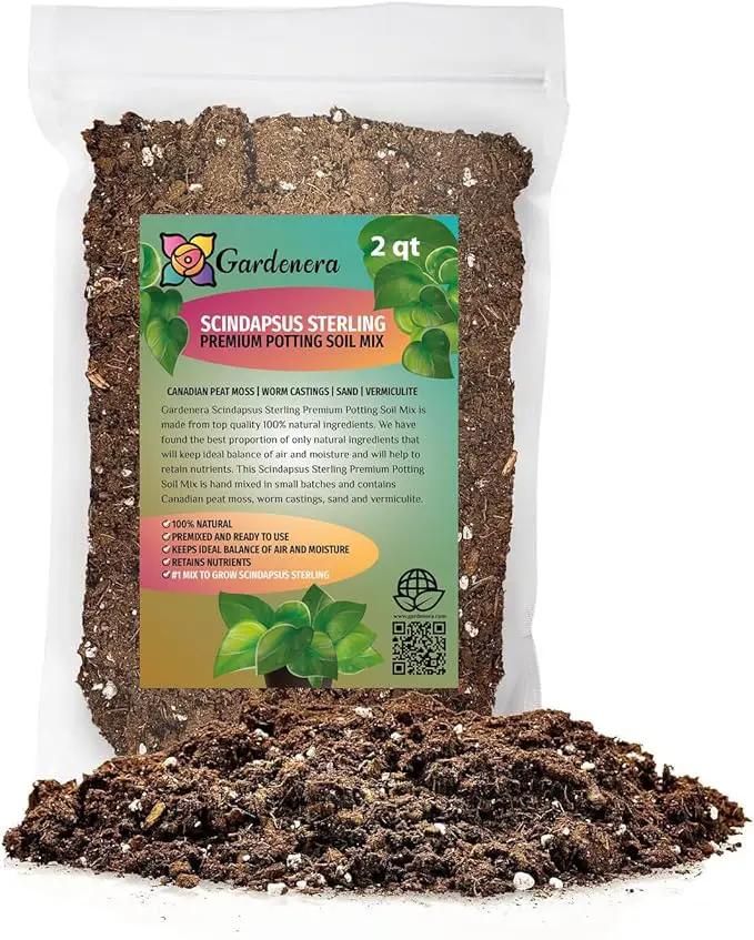 Elevate Your Space with Gardenera's Organic Potting Mix - Tailored for Thriving Scindapsus Sterling Plants and Striking Leaves - 2 Quart by GreenHaven Gardens
