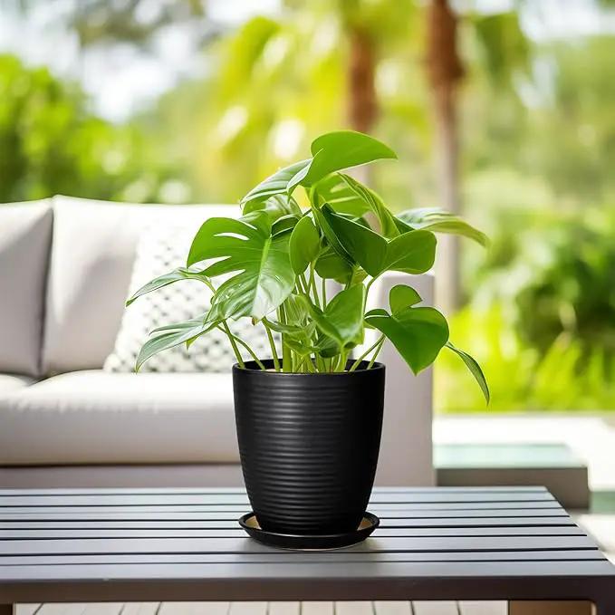 Ceramic Plant Pot - 8 Inch Ceramic Planter for Indoor Plants Glazed Round Flower Pot with Drainage Hole and Saucer Black by GreenHaven Gardens