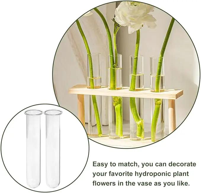 Alipis 4pcs Glass Propagation Stations Accessories Glass Test Tubes Tiered Planters Wall Terrarium for Home Office Plant Hanger Flower Vases Wall Decor Hydroponic Cuttings by GreenHaven Gardens