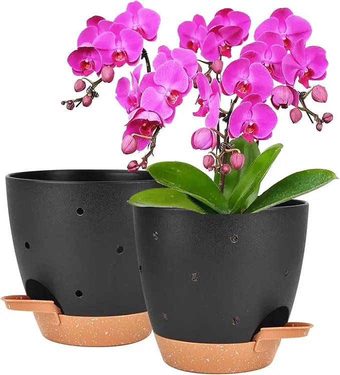 6 Inch Orchid Pots with Holes, 2 Pack Self Watering Planters for Orchids Plastic Orchid Pot Plant Flower Pots for Orchids Indoor Outdoor (Black with Brown) by GreenHaven Gardens