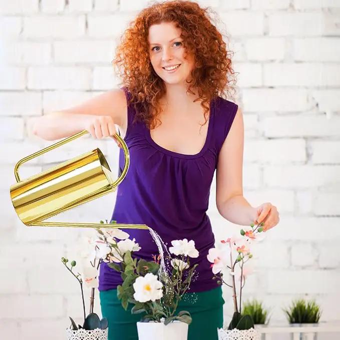 Watering Can for Indoor Plants, 50 oz/1.5L Stainless Steel Watering Can Pot with Long Spout, Garden Watering Cans with Comfortable Handle for Indoor House Plants Bonsai Flower Decorative by GreenHaven Gardens