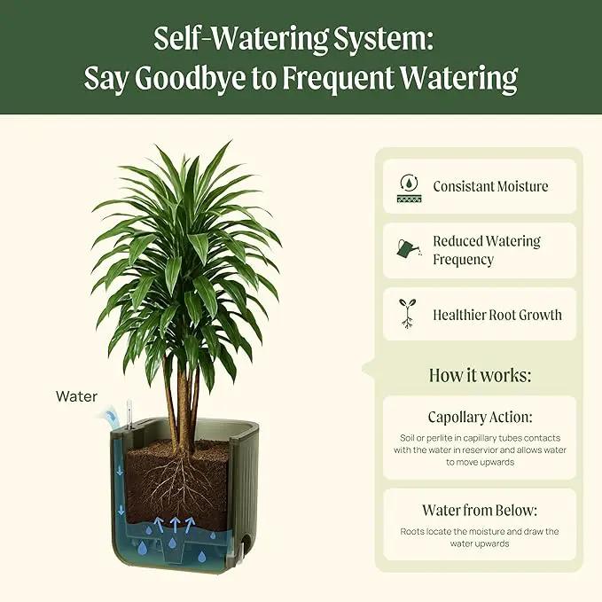 Vego garden Self Watering Pots Home Planters with Water Gauge for Effortless Indoor Plants Fog Gray by GreenHaven Gardens
