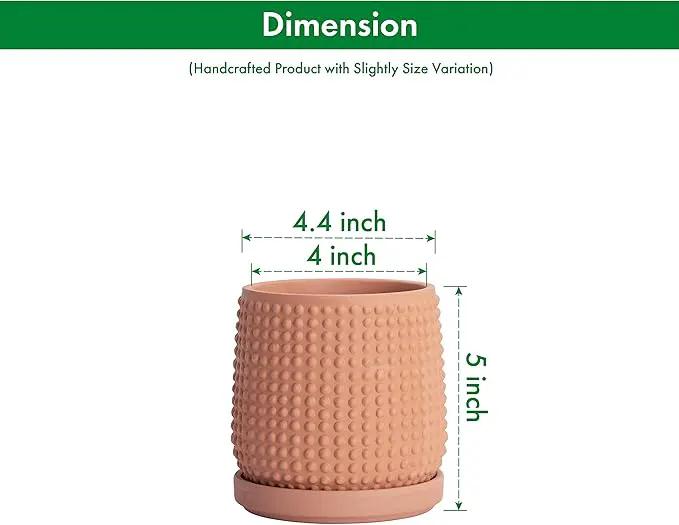 D'vine Dev 4 Inch Terracotta Beaded Planter Pot - Flower Pot with Drainage Holes and Saucers for Indoor Succulent Plants or Flowers,Terracotta, 27-C-Z-7 by GreenHaven Gardens