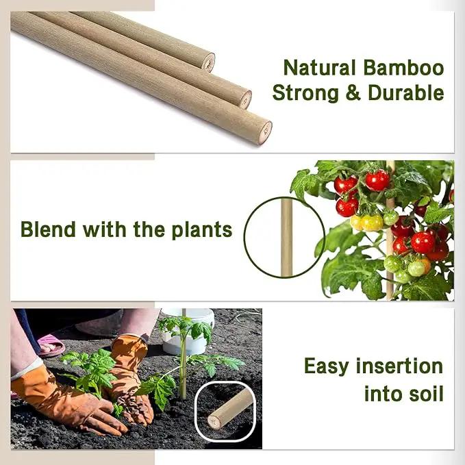 Plant Stakes,18 Inches Natural Garden Bamboo Sticks,BOVITRO 20Pcs Plant Support Stakes for Tomatoes,Beans,Vegetable and Potted Plants by GreenHaven Gardens