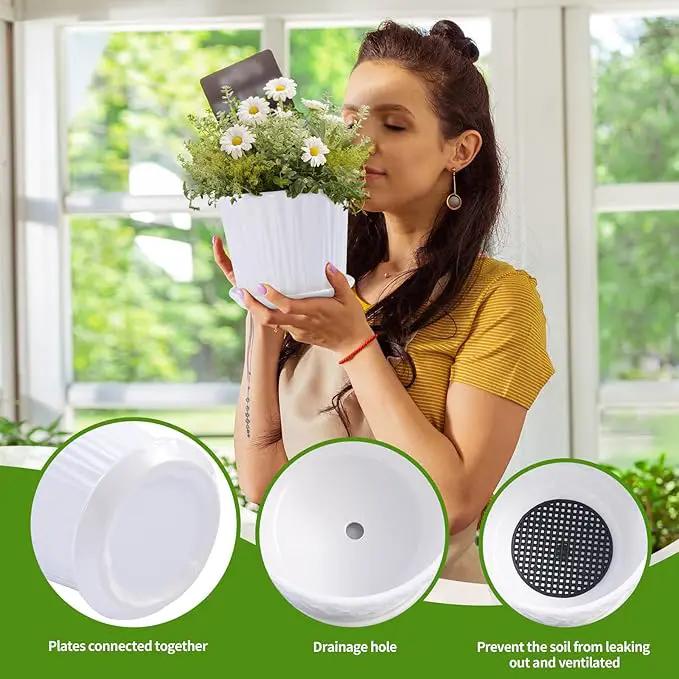 Plant Pots - 5.5 Inch Cylinder Ceramic Planters with Connected Saucer, Pots for Succuelnt and Little Snake Plants, Set of 4, White by GreenHaven Gardens