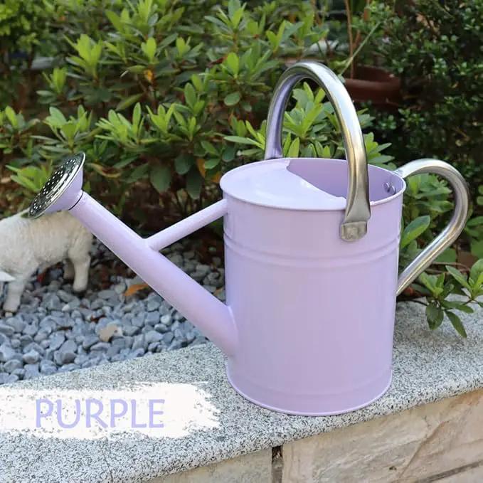 Metal Watering Can, One Gallon Watering Cans Stainless Steel for Outdoor Indoor Garden Plants Watering (Stainless Steel Handle Purple) by GreenHaven Gardens