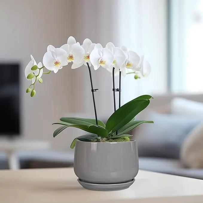 G EPGardening Ceramic Pot for Plants - Modern 6 Inch Round Planter Indoor with Drainage and Tray for Indoor Outdoor Flower, Patio Decor, Teacher Gifts, Grey by GreenHaven Gardens