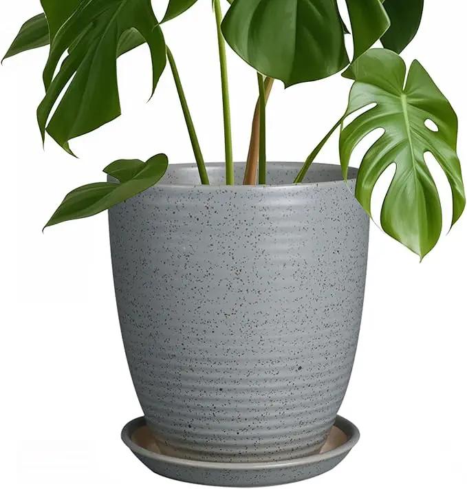 8 Inch Plant Pot Ceramic Planter Pot with Drainage Hole and Saucer Modern Round Flower Pot for Indoor Plants Light Gray by GreenHaven Gardens